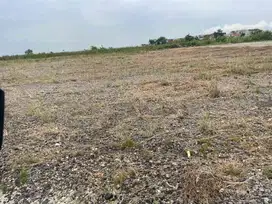 DISEWAKAN LAHAN TAMBAK OSOWILANGUN, GRESIK
