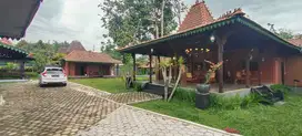 Rumah johlo modern dengan kolam renang lingkungan asri turi