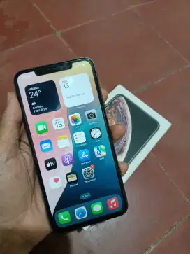 iPhone Xsmax 256gb ex inter