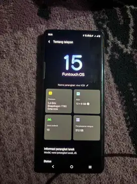 Vivo v29 12+8 512GB
