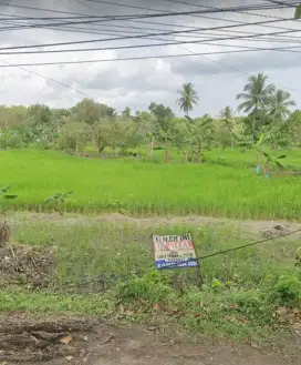 JUAL TANAH CEPAT HARGA PERMETER (NEGO)