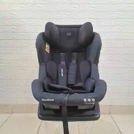 Babydoes Carseat