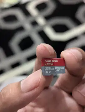 SanDisk 256gb original