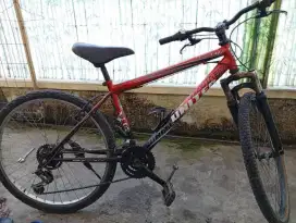 Sepeda mtb united Miami XCO2