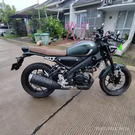 (Cash) Yamaha XSR Army