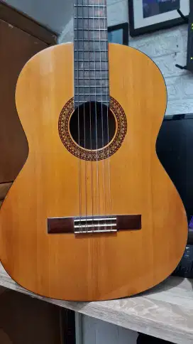 Gitar Akustik Yamaha C315