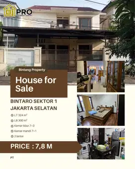 Rumah mewah di Bintaro