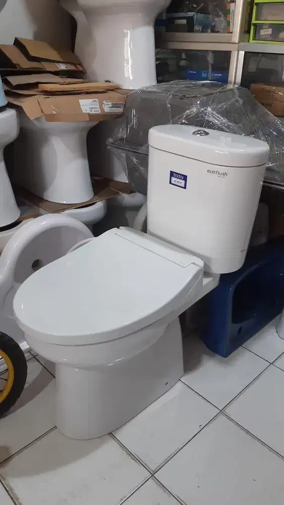 Kloset duduk toto cw421jp+ecowasher