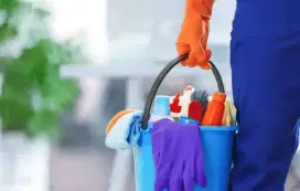 Freelance Cleaning Service