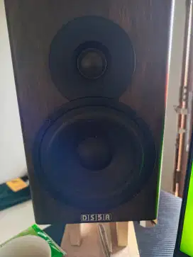 DS5A Speaker Flat Speaker Monitor