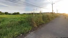 Tanah Industri dan Pergudangan Jl Tambak Sawah Waru Sidoarjo