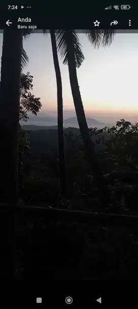 JUAL TANAH BONUS RUMAH DI GIRIMULYO KULONPROGO
