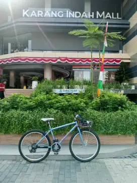 Sepeda kalcer Polygon
