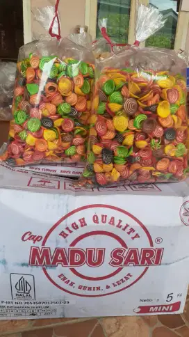 Promoo kuping gajah mini