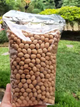 Kacang oven SP Murah 1kg