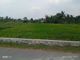 Tanah murah di kayunan Donoharjo Ngaglik jl palagan km 12