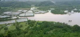 Jasa bangunan rumah