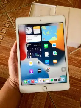 iPad mini 4 128GB LTE