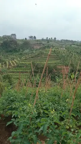 Tanah dijual kota Batu