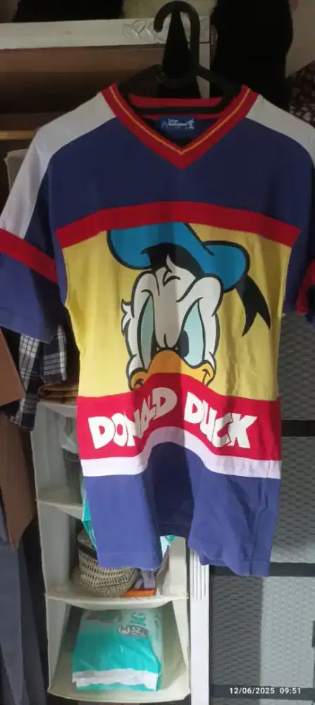 Disney Donald Ducks