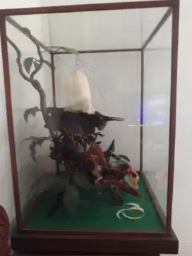 Hiasan ruangan estetik