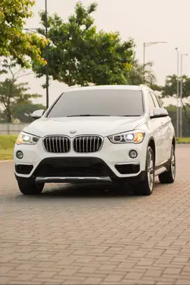 BMW X1 F48 XLine 2020 Panoramic