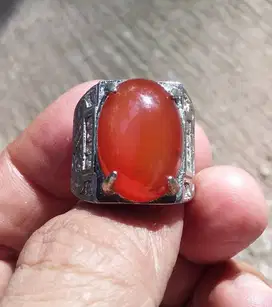 Batu Akik Red Raflesia