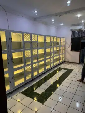Penitipan hewan kucing kelinci marmut pethotel