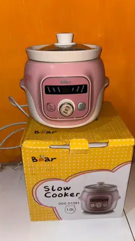 Preloved Slow Cooker boar