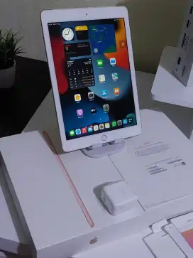 Ipad 6 (Rose gold) cellular + wifi, fullset mantab