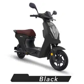 SEPEDA LISTRIK EXOTIC X-670