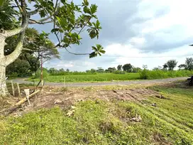 Jual Cepat Tanah Pekarangan Palagan Sleman