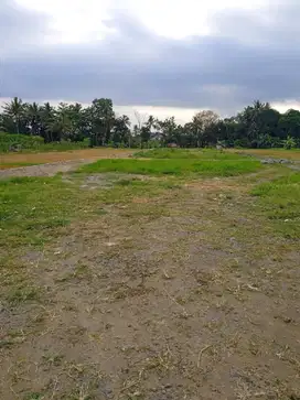 Tanah Murah Jogja Dekat Star Beach Swimming Pool, Siap Akad