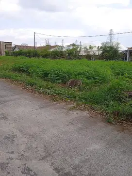 Tanah Jogja di Wedomartani Dekat SD Model – Lingkungan Nyaman
