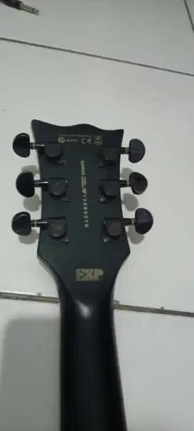 gitar ltd custom