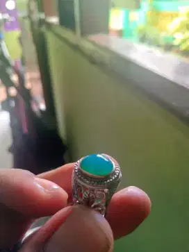 Bacan Doko majiko semi giwang HQ