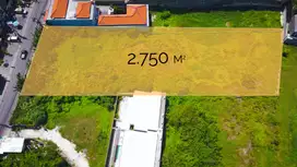 Rare Commercial Land in Batu Mejan Canggu