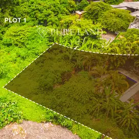 650m2 + 180m2 Land in Muding