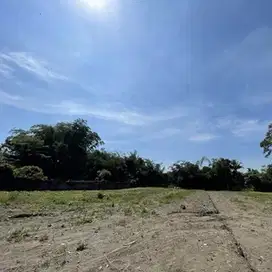 Tanah Murah Kalasan, Bisa Diangsur, Bangun Hunian Adem