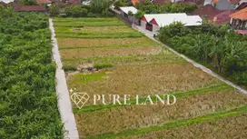2485m2 Land in Muding