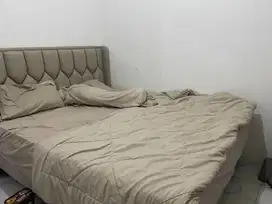 Spring Bed + Dipan Procella (Morning Dew Revive Series)