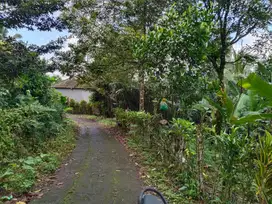 Jual tanah selemadeg tabanan 13are