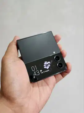 Samsung Z Flip 4 8/256 SEIN