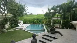 4 bedrooms villa for sale gaga pererenan