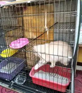 Dijual Kandang Kucing Bekas 3 Tingkat Warna Gold