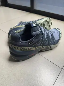 Salomon speecross 6 GTX