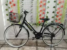 Sepeda Keranjang Polygon Sierra Lite bekas