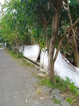 Dekat TVRI Jogja Tanah di Nogotirto Legalitas SHM