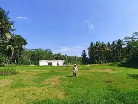 Tanah di Nanggulan Jogja 5 menit Exit Tol Sentolo