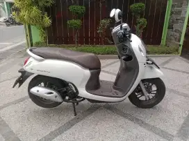 Scoopy 2024 chas/kredit